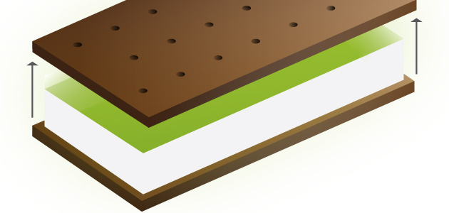 Ice Cream Sandwich