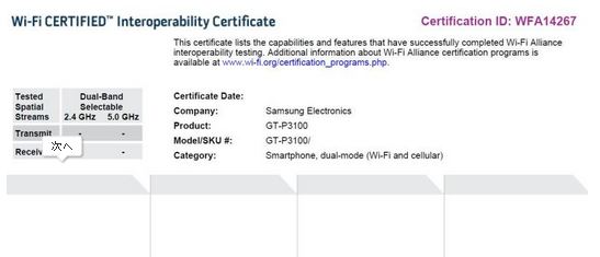 samsung-p3100-tablet