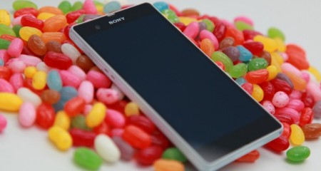 Jelly bean sony