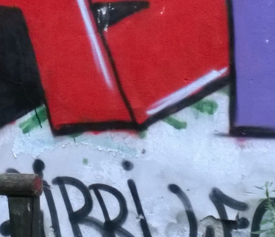 Lumia 1020 crop at actual pixels