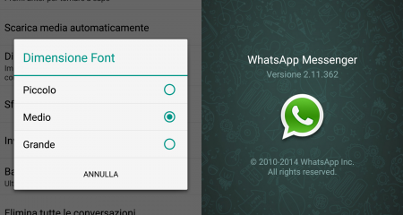 whatsapp dimensione font