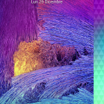 2014-12-29 09.09.55