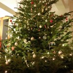 20141224_185428